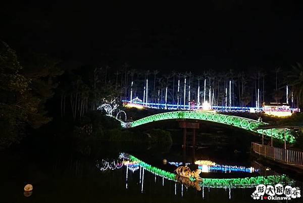 東南植物園  冬天燈光秀