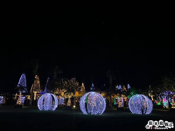 東南植物園  冬天燈光秀