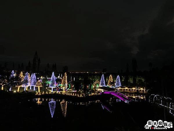 東南植物園  冬天燈光秀