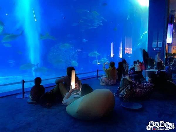 【沖繩景點】冬季限定 夜間海洋館