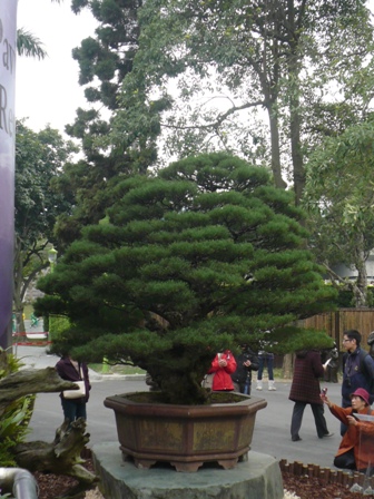 P1160455.jpg