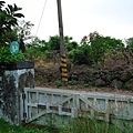 DSC_0242.jpg