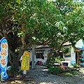 DSC_0357.jpg