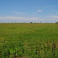 DSC_0331.jpg