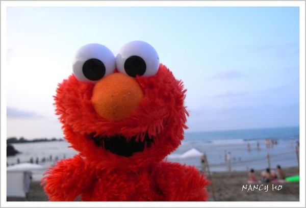 ELMO_1.jpg