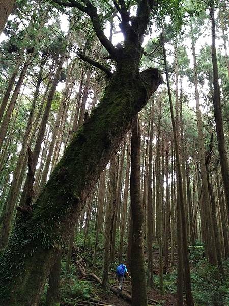 2017.07.01民都有山清涼行_170702_0034.jpg