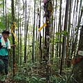 2017.07.01民都有山清涼行_170702_0097.jpg