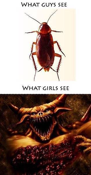 男女眼中的蟑螂