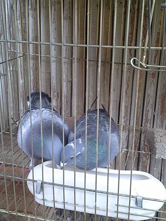 20131215_121314 20131215_121314