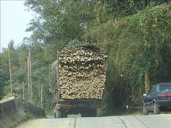 載滿竹子的卡車~~好可怕...