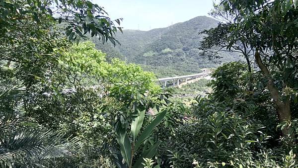 東澳景點%2F蛇山步道