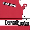 Darnell Levine - We Gon' Use What We Got.jpg