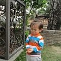 IMG_1263.JPG