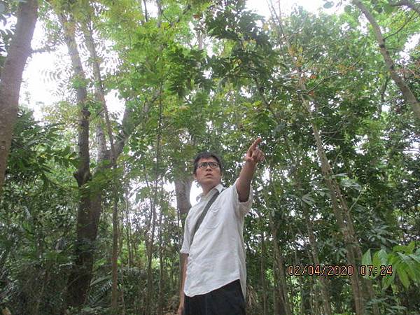 [遊記] 台南市新化區‧中興林場後山步道