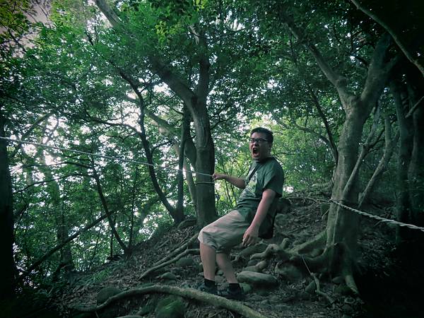 [遊記] 新北市泰山區‧義學坑步道