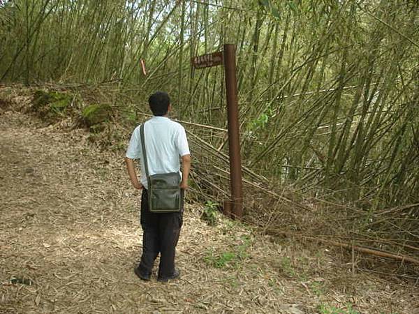 狂飆全紀錄(255)前進大湖尖山，探訪雅吾瑪斯