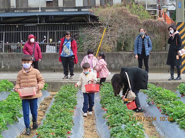 苗栗之旅IV【場景八】一品草莓園