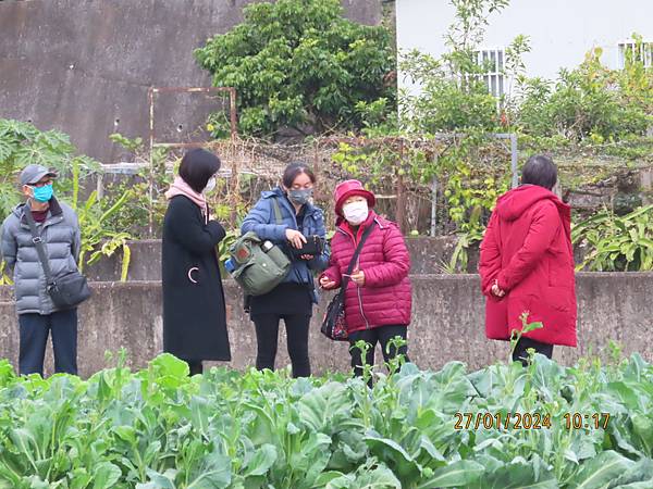 苗栗之旅IV【場景八】一品草莓園