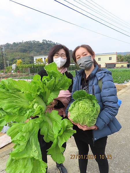 苗栗之旅IV【場景八】一品草莓園