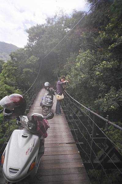 旅途【第十一篇】梅園竹村‧深入世外桃源