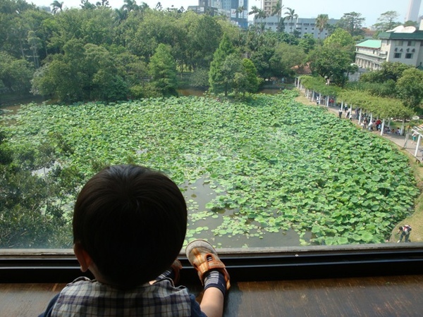 25500295:植物園的回味