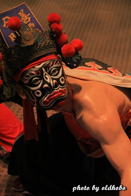 IMG_9684 IMG_9684