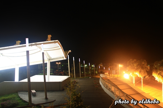 IMG_5341 IMG_5341