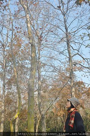 DSC_0330.JPG DSC_0330.JPG