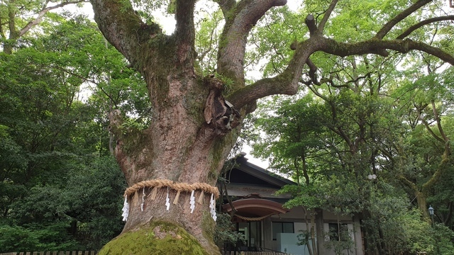 日本立山5日遊9 熱田神宮 老徐自說自話2 痞客邦