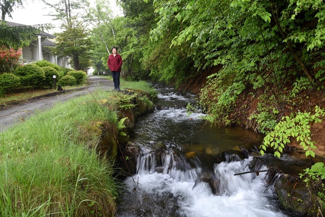 DSC_5241.JPG - 2019日本立山