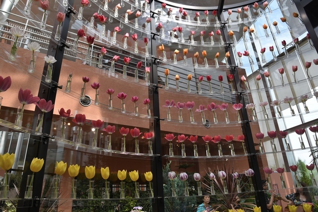 DSC_5144.JPG - 2019日本立山