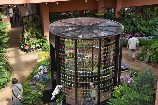 DSC_5148.JPG - 2019日本立山