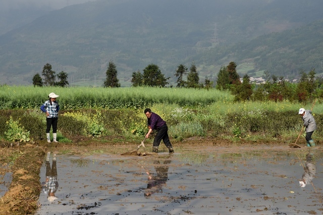 DSC_0149.JPG - 2018四川金川、丹巴、新都橋等