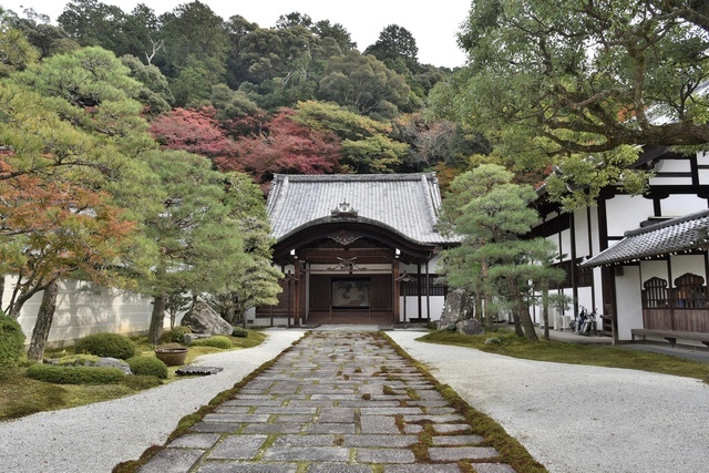 DSC_6797.JPG - 2017日本京都賞楓