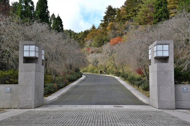 DSC_6587.JPG - 2017日本京都賞楓