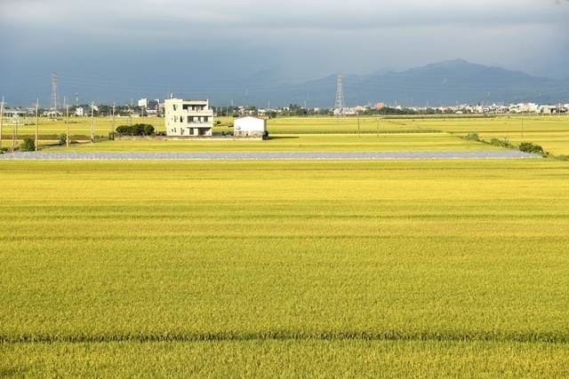 DSC_2181.JPG - 105台南旅遊