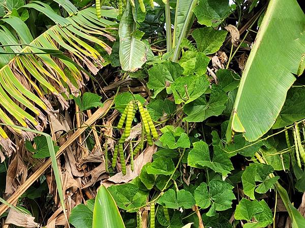 2021-11-20 09.14.24.jpg