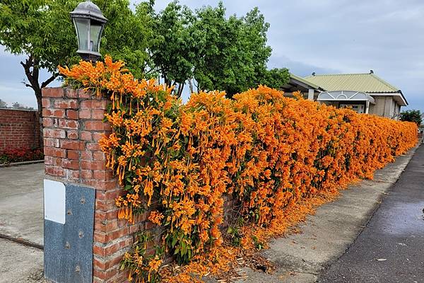 2023-02-06 11.00.47.jpg