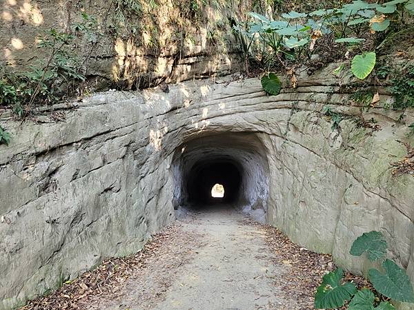 嘉義中埔半日遊，愛在山林農場、中埔百年古隧道