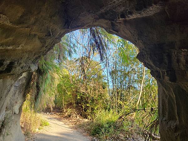 嘉義中埔半日遊，愛在山林農場、中埔百年古隧道