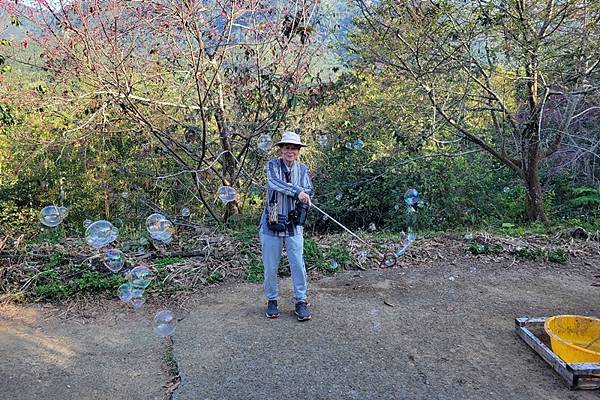 嘉義中埔半日遊，愛在山林農場、中埔百年古隧道