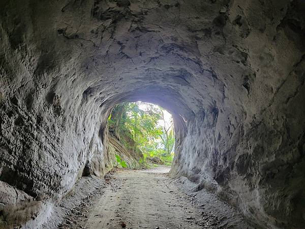 嘉義中埔半日遊，愛在山林農場、中埔百年古隧道