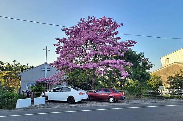 嘉義中埔半日遊，愛在山林農場、中埔百年古隧道