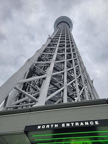 2024日本東京賞櫻13，晴空塔及台場夜景