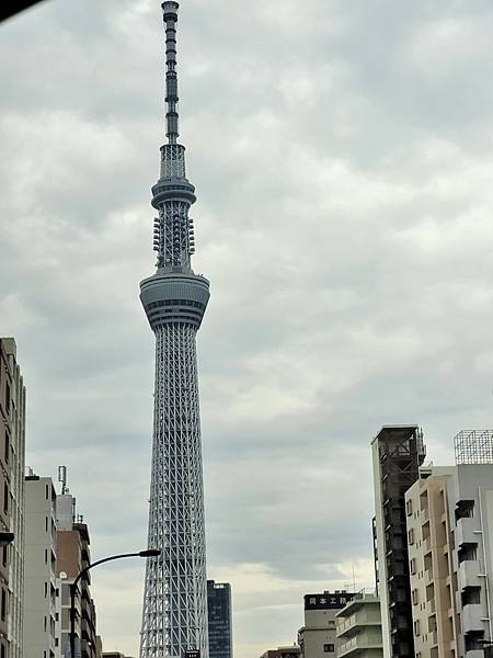 2024日本東京賞櫻13，晴空塔及台場夜景