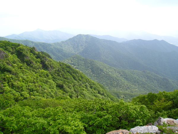 山上的風景真不錯