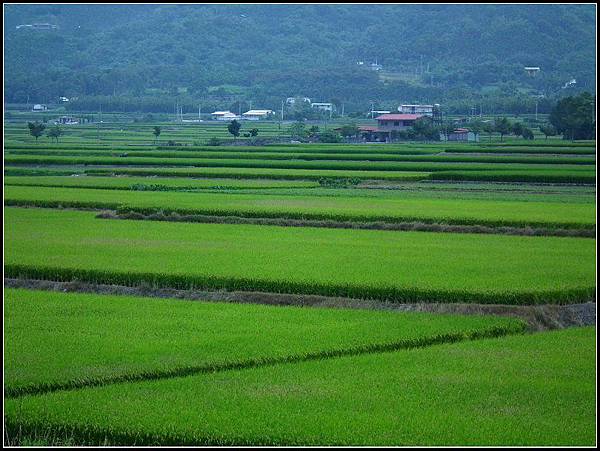 20131027花東騎旅133.jpg