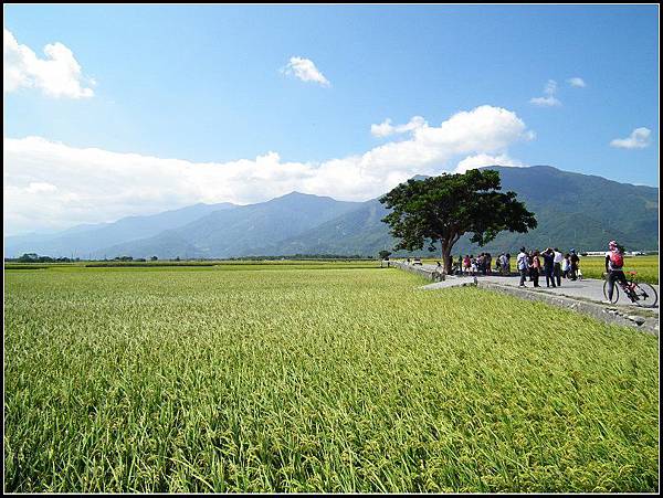 20131028花東騎旅143