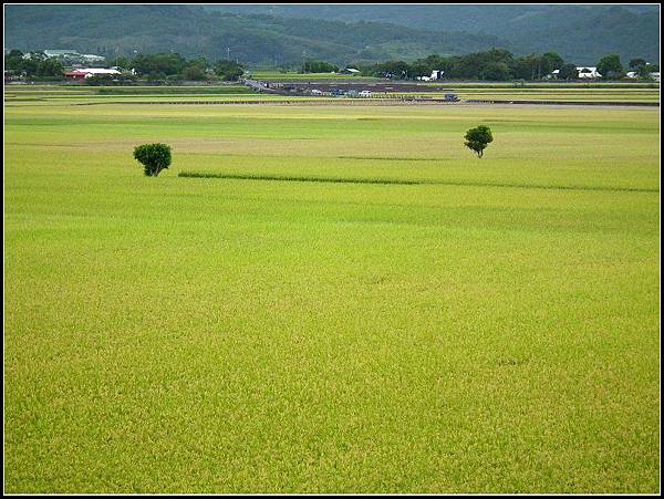 20131028花東騎旅194