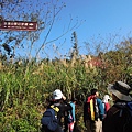 DSCN7477.JPG